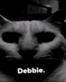 a black and white photo of a cat with the words debbie written on the bottom