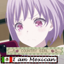 a picture of a girl with purple hair and a sign that says " country girl " and " i am mexican "