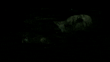 a close up of a person 's face in a dark room