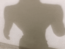 a shadow of a person 's back is cast on a white surface