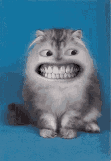 Smiling Cat GIF - Smiling Cat Grin GIFs