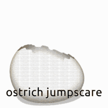 Ostrich Jumpscare Ostrich GIF - Ostrich Jumpscare Ostrich Ostrich Egg GIFs