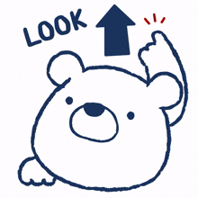 look bear
