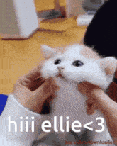 Hi Ellie GIF