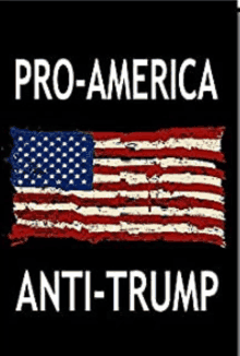Pro America Anti Trump GIF - Pro America Anti Trump GIFs