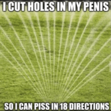 Pee Meme