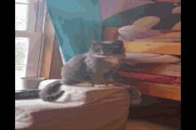 Cat Cat Jump GIF - Cat Cat Jump Miss Ocelot GIFs