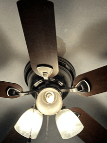 a ceiling fan with three lights on it is turned on