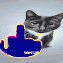 a drawing of a cat with a middle finger in front of it that says " swag bands "