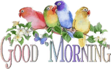 good morning birds greetings flowers plants