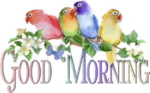 Good Morning Birds Sticker - Good Morning Birds Greetings Stickers