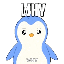 a blue and white penguin with the words why on the bottom