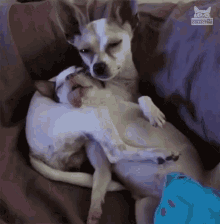 Nap Tired GIF - Nap Tired Passed Out GIFs
