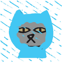 gaiathegraycat cat