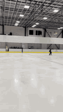 Adultfigureskater Ice GIF - Adultfigureskater Ice Skating GIFs