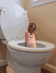 Lana Del Plumbing GIF - Lana Del Rey Plumbing Toilet GIFs