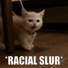 Racism Cat GIF - Racism Cat GIFs