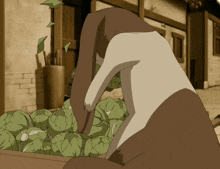 My Cabbages GIF - My Cabbages GIFs