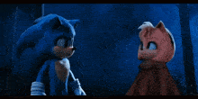 sonic the hedgehog and amy rose are fighting in a video game