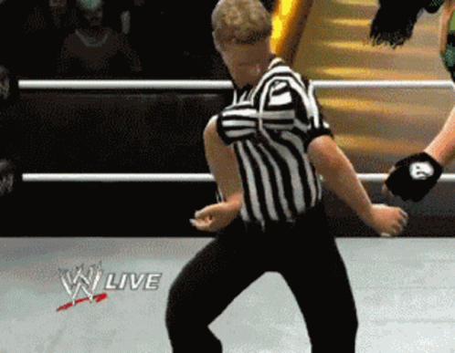 WWE video game referee gif