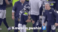 Kawai Seahawks GIF - Kawai Seahawks GIFs