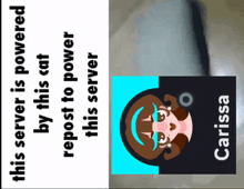 a poster that says this server is powered by this cat repost to power this server carissa