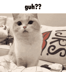 Guh Guh Cat GIF - Guh Guh Cat Kitty GIFs