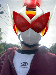 a person wearing a mask and a hoodie that says moleys on it