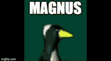 Magnus Bird GIF - Magnus Bird Turning GIFs