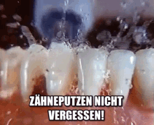 Zähne Putzen Nicht Vergessen GIF