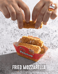 Chicken Fried Mozarella GIF - Chicken Fried Mozarella Ketchup GIFs