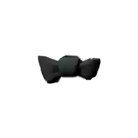 a black bow tie is on a white background .