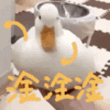 a white duck with a yellow beak is sitting on a carpet next to a toilet .