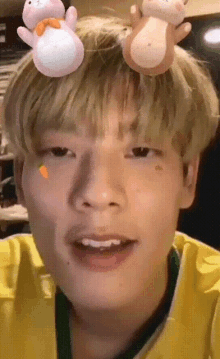 a young man with stuffed animals on his head is wearing a yellow shirt