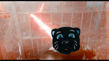 a black cat with blue eyes is standing in front of a red light
