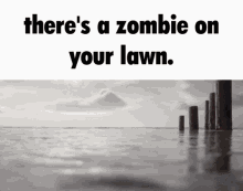 the foundation fortnite pvz plants vs zombies theres a zombie on your lawn