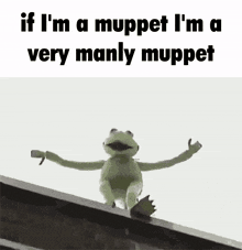 Am I Man Or A Muppet The Muppets GIF - Am I Man Or A Muppet The Muppets Man Or Muppet GIFs