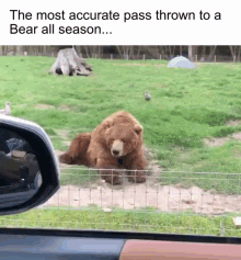 Bears Trubisky The Most Accurate Pass Thrown To A Bear All Season GIF - Bears Trubisky The Most Accurate Pass Thrown To A Bear All Season GIFs