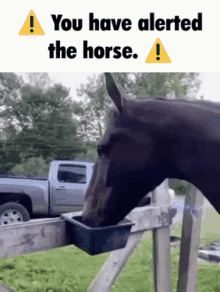 Horse Ping GIF - Horse Ping GIFs