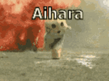 Aihara GIF - Aihara GIFs