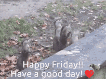 Morning Otters GIF - Morning Otters GIFs