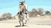Horse Charro GIF