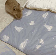 Flop Flopping Bunny GIF - Flop Flopping Bunny Cute GIFs