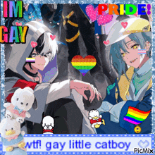 a picture of two anime characters with rainbow flags and the words " i 'm gay pride "