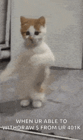 a cat is standing on its hind legs in front of a mirror and looking at itself .
