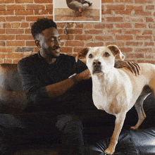 Petting The Dog Marques Brownlee GIF - Petting The Dog Marques Brownlee Touching The Dog GIFs