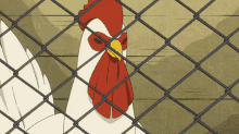 Chicken Rejected GIF