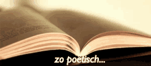 Poetse GIF - Poetse Poetisch Zo Poetisch GIFs