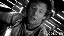 Hogdexter Cybrelon GIF - Hogdexter Cybrelon Elonmusk GIFs