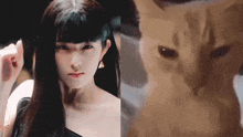 a close up of a woman and a close up of a cat .
